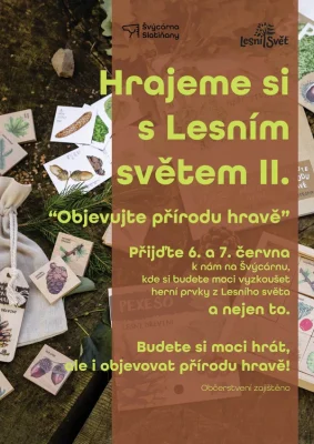 Lesní svět
