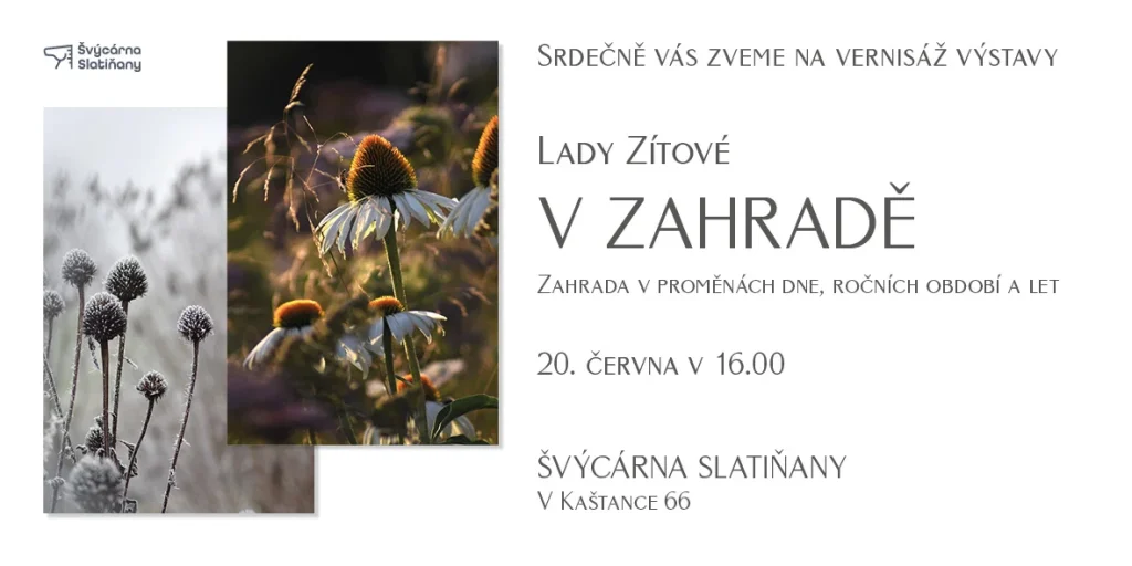 Vernisáž Lada Zítová